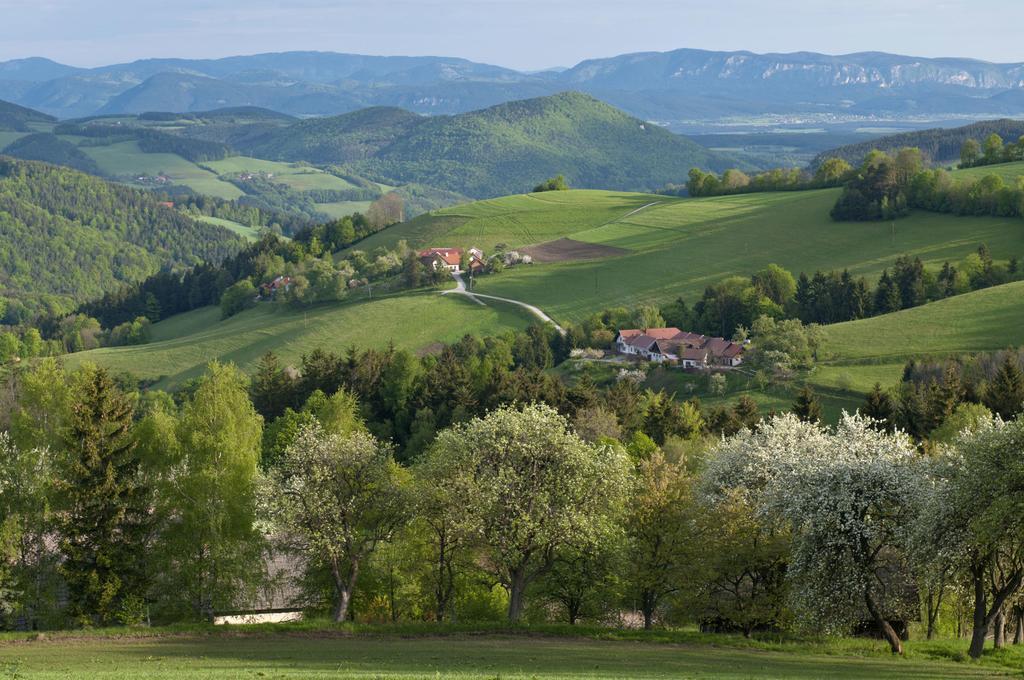 Hotel Post Hoenigwirt Kirchschlag in der Buckligen Welt Dış mekan fotoğraf